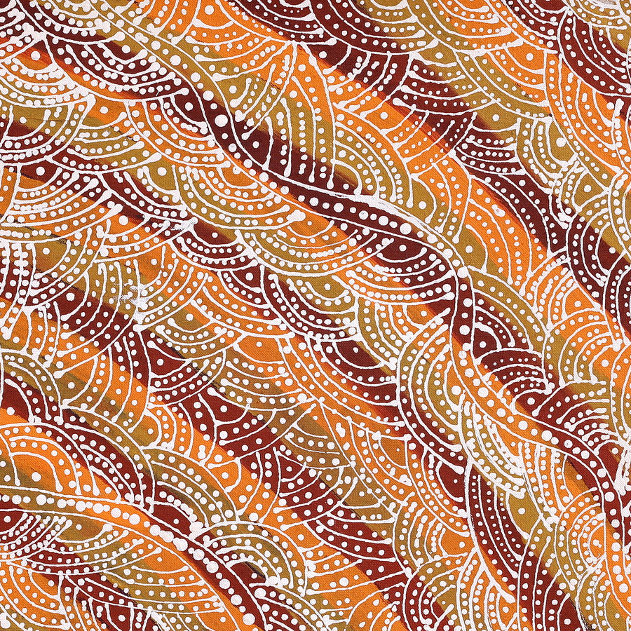 Aboriginal Artwork by Tanya Nungarrayi Collins, Watiya-warnu Jukurrpa (Seed Dreaming), 61x61cm