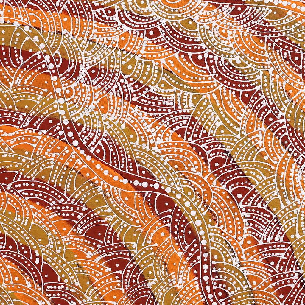 Aboriginal Artwork by Tanya Nungarrayi Collins, Watiya-warnu Jukurrpa (Seed Dreaming), 61x61cm - ART ARK®