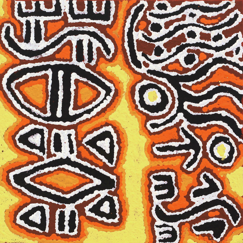 Aboriginal Artwork by Tanya Nungarrayi Collins, Mala Jukurrpa (Rufous Hare-wallaby Dreaming), 30x30cm