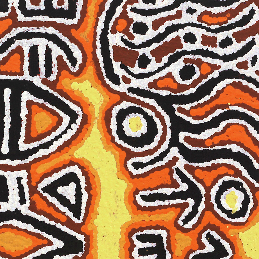 Aboriginal Artwork by Tanya Nungarrayi Collins, Mala Jukurrpa (Rufous Hare-wallaby Dreaming), 30x30cm