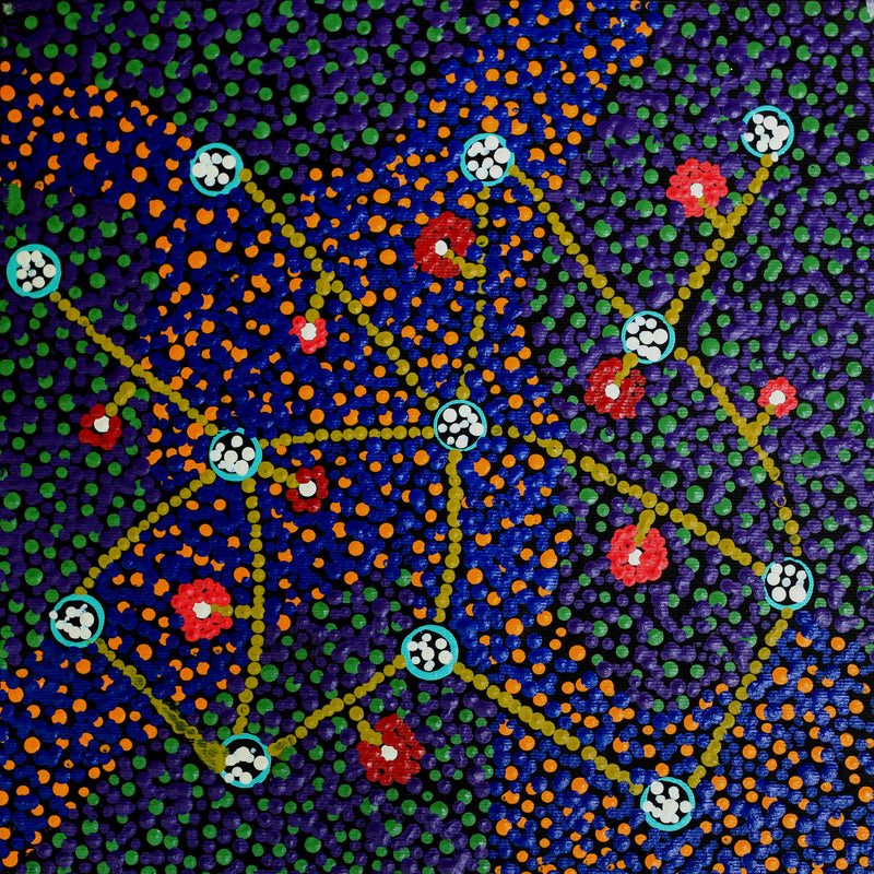 Aboriginal Artwork by Tasma Peltherre Palmer, Lukarrara Jukurrpa, 30x30cm