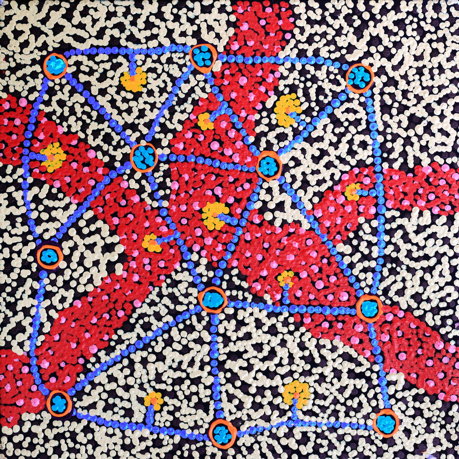 Aboriginal Artwork by Tasma Peltherre Palmer, Lukarrara Jukurrpa, 30x30cm