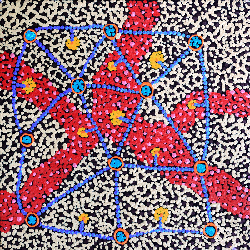 Aboriginal Artwork by Tasma Peltherre Palmer, Lukarrara Jukurrpa, 30x30cm