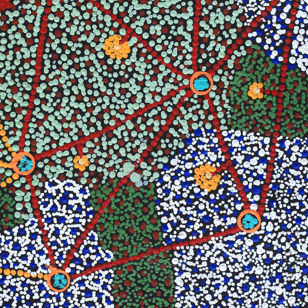 Aboriginal Artwork by Tasma Peltherre Palmer, Lukarrara Jukurrpa, 46x46cm