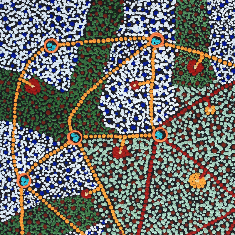 Aboriginal Artwork by Tasma Peltherre Palmer, Lukarrara Jukurrpa, 46x46cm