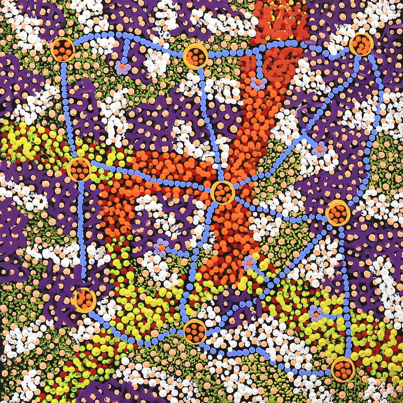 Aboriginal Artwork by Tasma Peltherre Palmer, Lukarrara Jukurrpa, 30x30cm