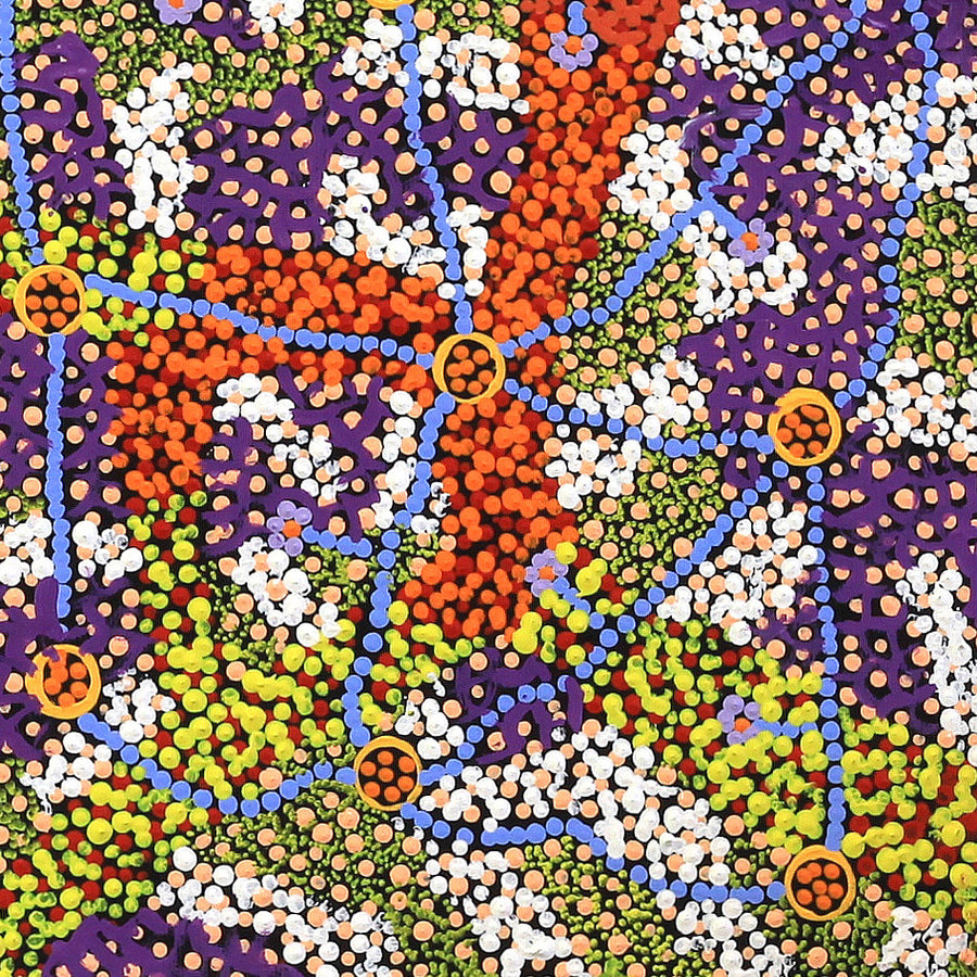 Aboriginal Artwork by Tasma Peltherre Palmer, Lukarrara Jukurrpa, 30x30cm