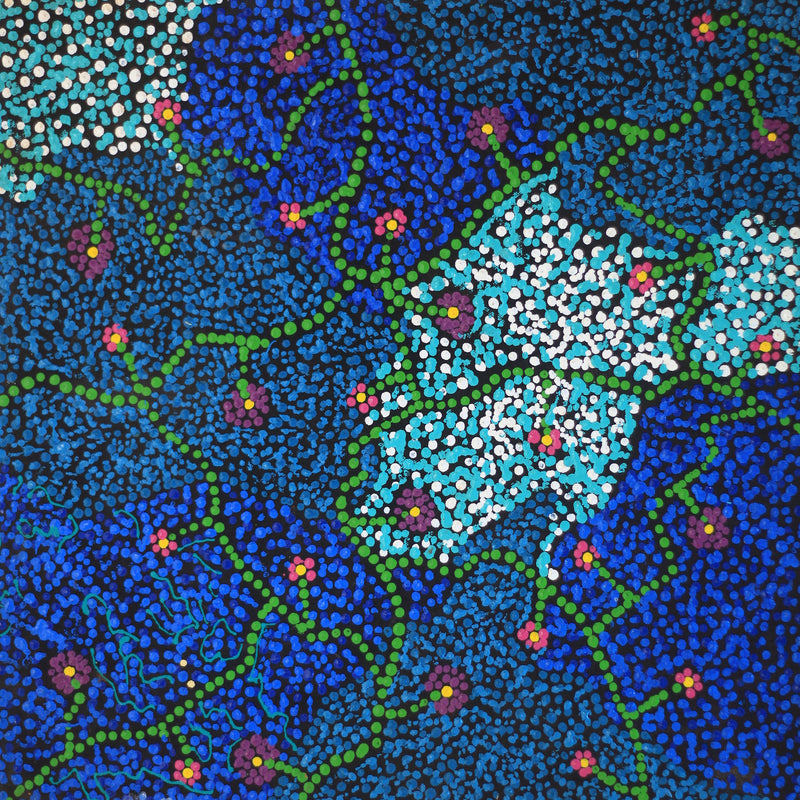 Aboriginal Artwork by Tasma Peltherre Palmer, Lukarrara Jukurrpa, 46x46cm