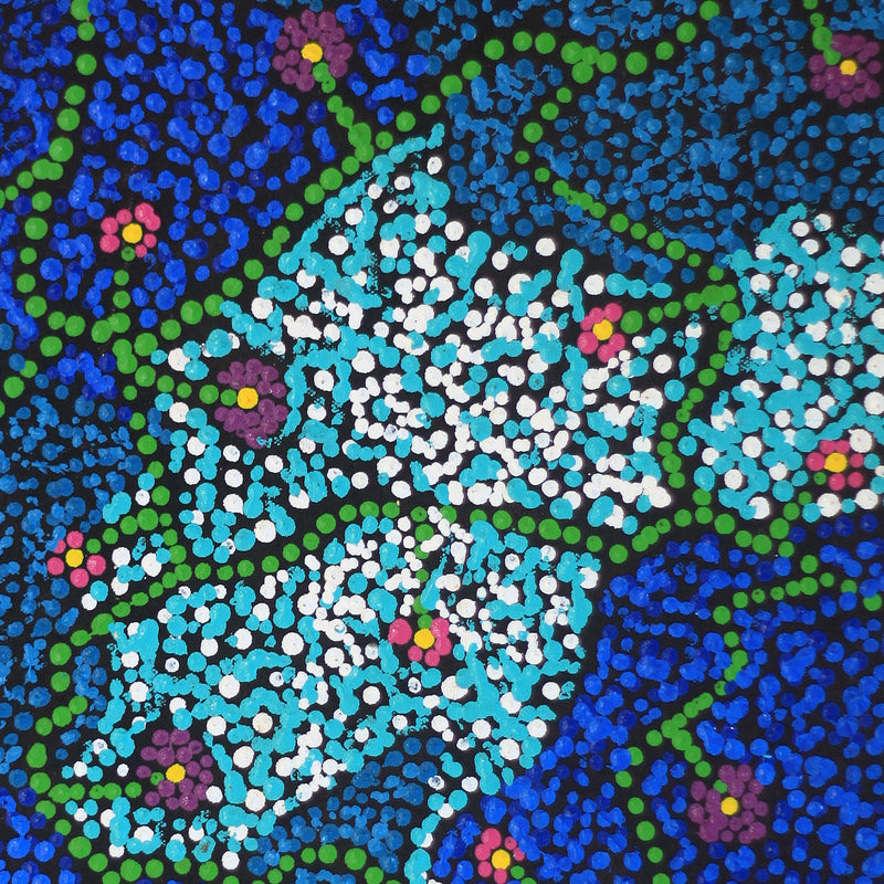 Aboriginal Artwork by Tasma Peltherre Palmer, Lukarrara Jukurrpa, 46x46cm