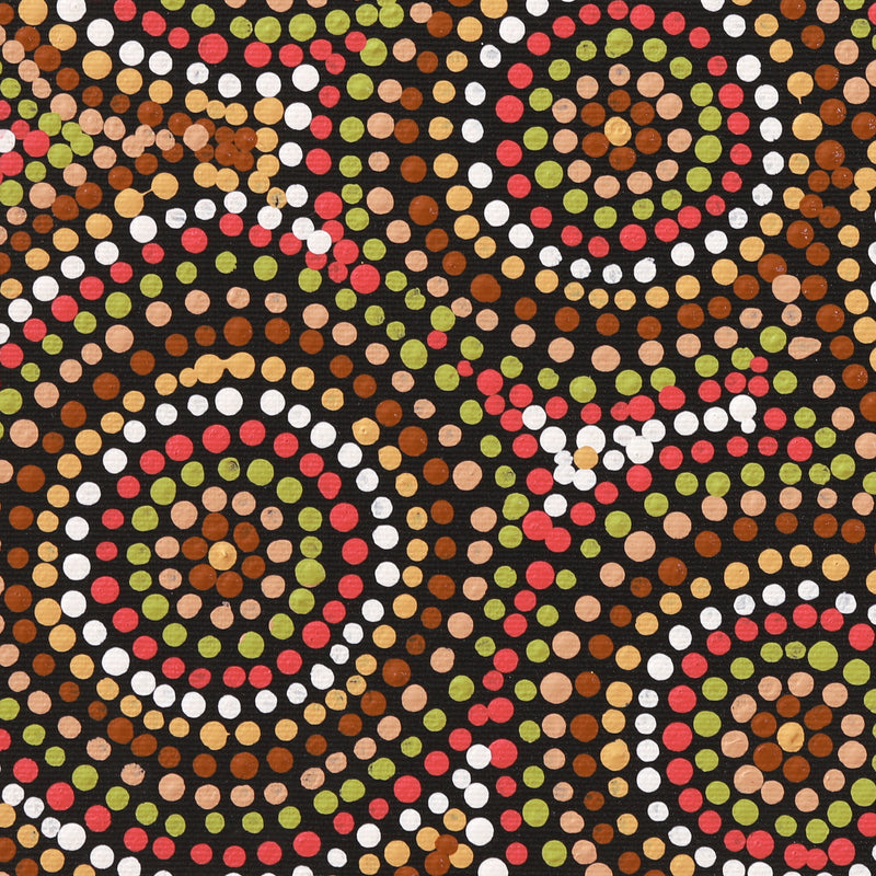 Aboriginal Artwork by Teranie Nangala Williams, Wanakiji Jukurrpa (Bush Tomato Dreaming), 30x30cm