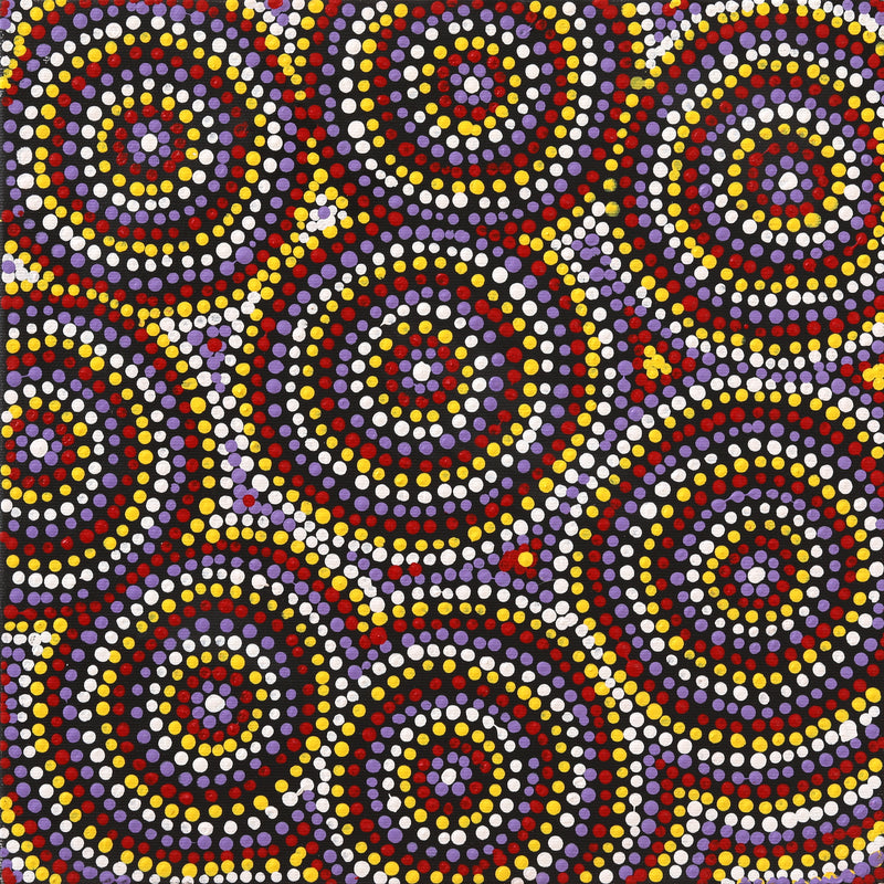 Aboriginal Artwork by Teranie Nangala Williams, Wanakiji Jukurrpa (Bush Tomato Dreaming), 30x30cm