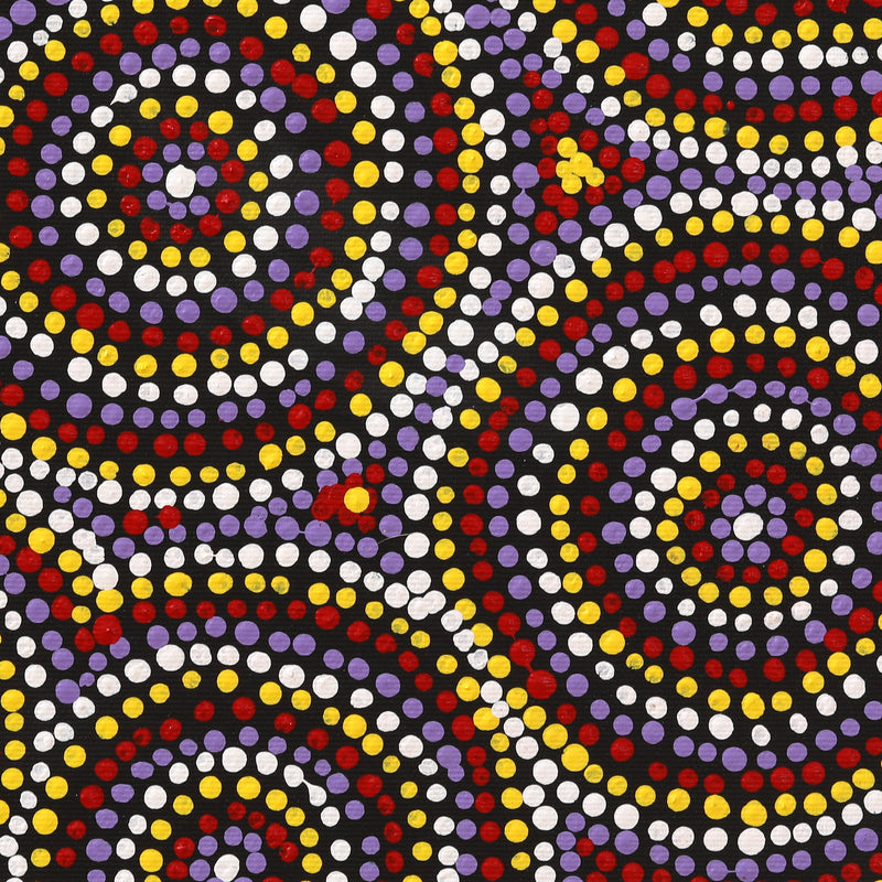 Aboriginal Artwork by Teranie Nangala Williams, Wanakiji Jukurrpa (Bush Tomato Dreaming), 30x30cm