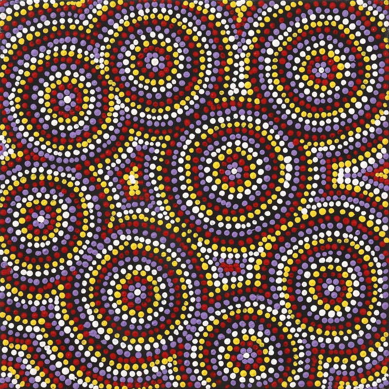 Aboriginal Artwork by Teranie Nangala Williams, Wanakiji Jukurrpa (Bush Tomato Dreaming), 30x30cm