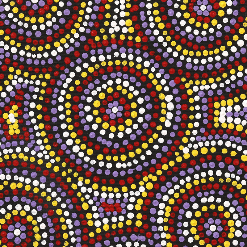 Aboriginal Artwork by Teranie Nangala Williams, Wanakiji Jukurrpa (Bush Tomato Dreaming), 30x30cm