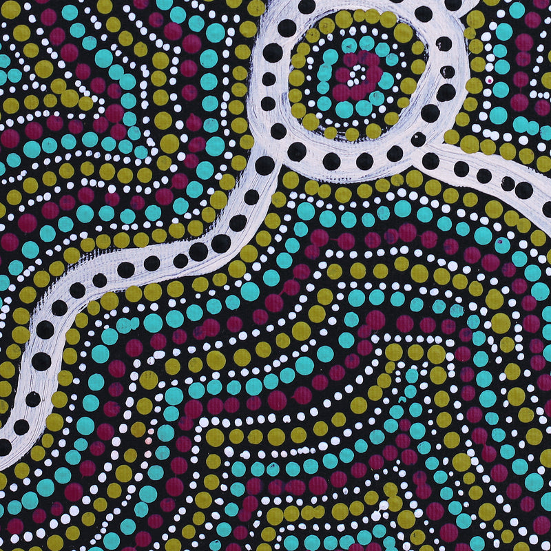Aboriginal Artwork by Teranie Nangala Williams, Wanakiji Jukurrpa (Bush Tomato Dreaming), 30x30cm