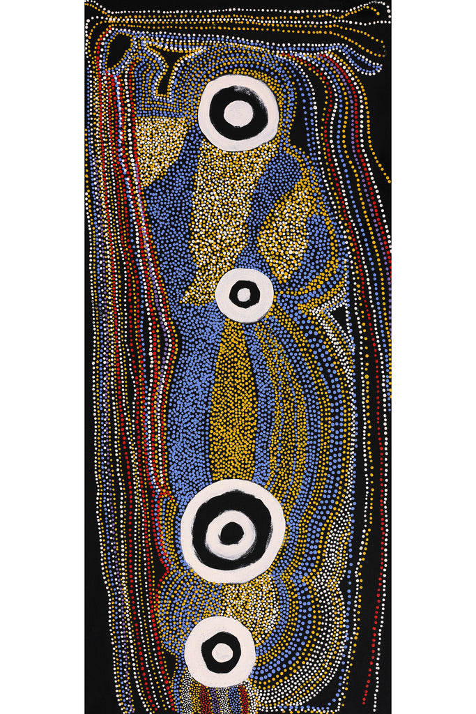 Aboriginal Artwork by Terry Ward, Walka Wiru Ngura Wiru, 107x46cm