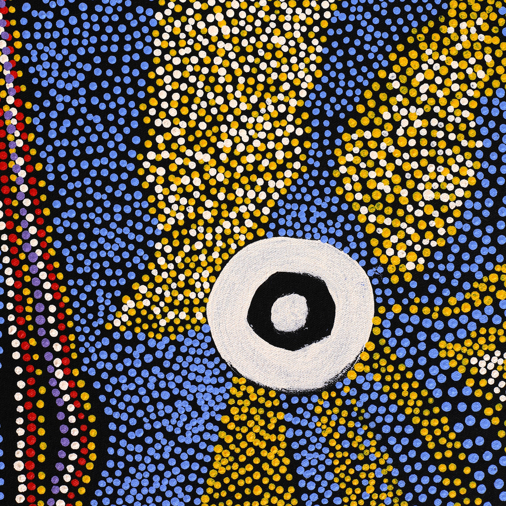 Aboriginal Artwork by Terry Ward, Walka Wiru Ngura Wiru, 107x46cm