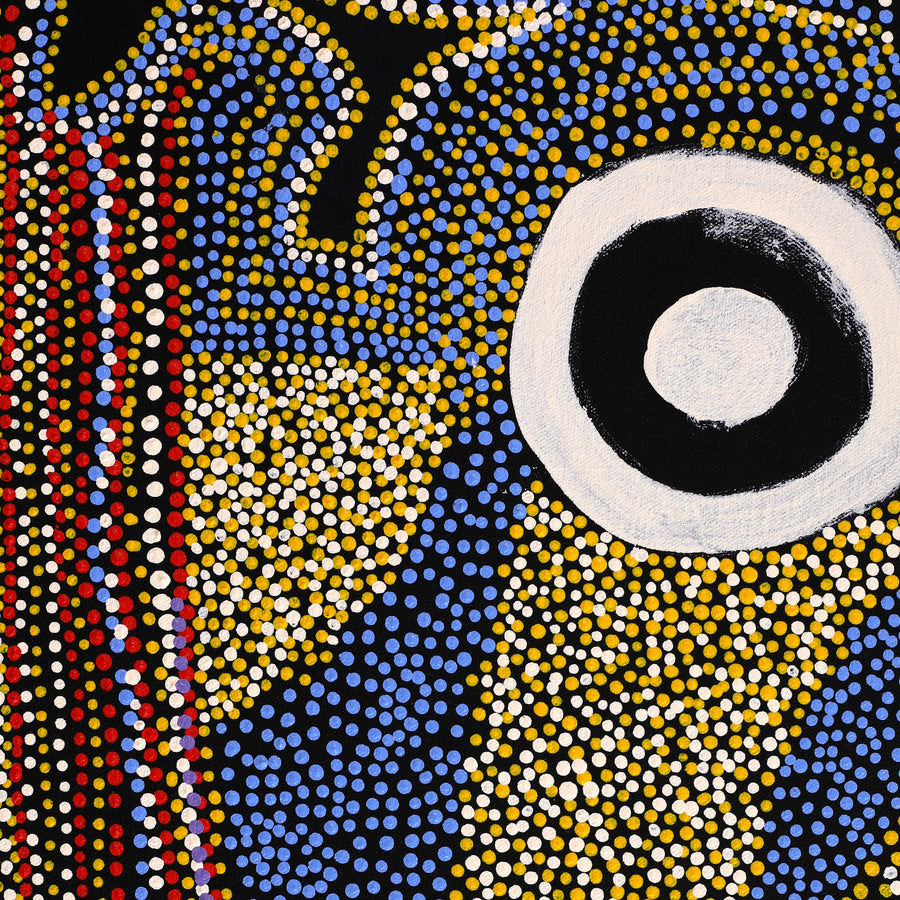 Aboriginal Artwork by Terry Ward, Walka Wiru Ngura Wiru, 107x46cm