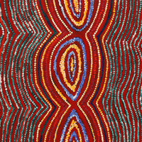 Aboriginal Artwork by Tess Napaljarri Ross, Wanakiji Jukurrpa (Bush Tomato Dreaming), 107x46cm