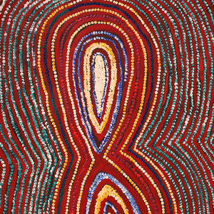 Aboriginal Artwork by Tess Napaljarri Ross, Wanakiji Jukurrpa (Bush Tomato Dreaming), 107x46cm - ART ARK®