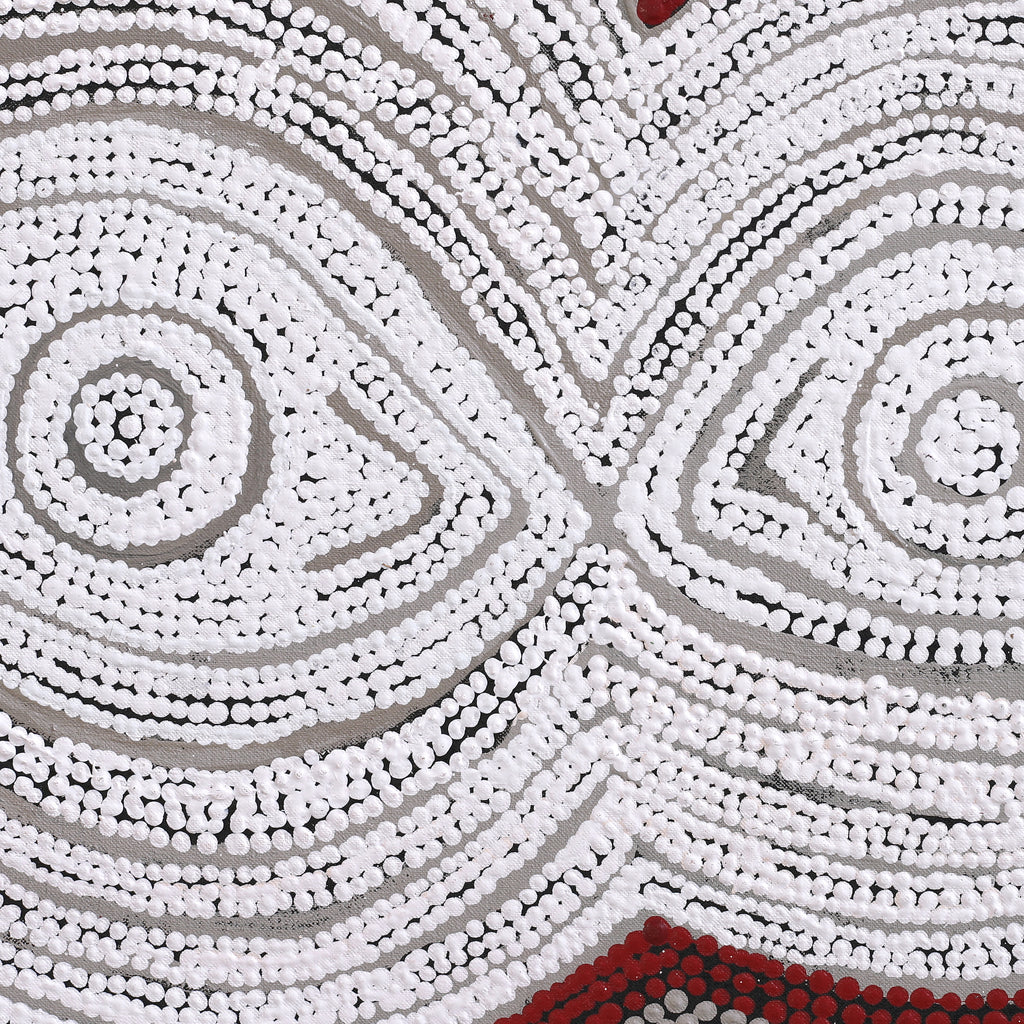 Aboriginal Art by Tess Napaljarri Ross, Warlukurlangu Jukurrpa (Fire country Dreaming), 122x122cm - ART ARK®
