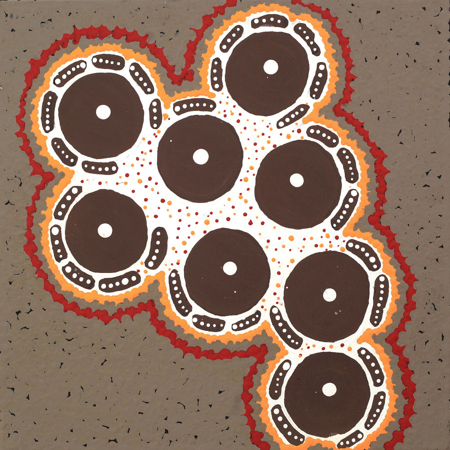 Aboriginal Artwork by Theresa Napurrurla Ross, Pamapardu Jukurrpa (Flying Ant Dreaming) - Warntungurru, 30x30cm