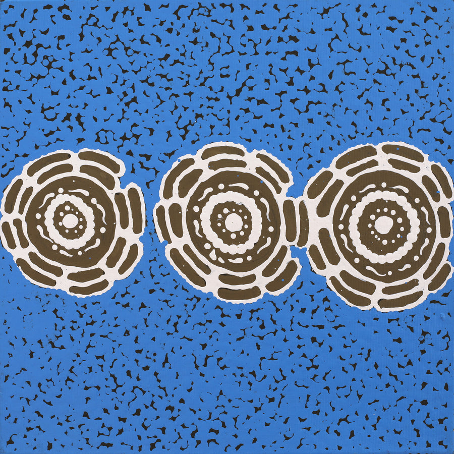 Aboriginal Artwork by Theresa Napurrurla Ross, Pamapardu Jukurrpa (Flying Ant Dreaming) - Warntungurru, 30x30cm