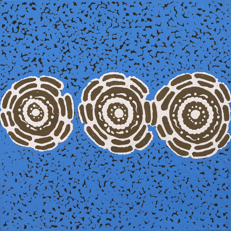 Aboriginal Artwork by Theresa Napurrurla Ross, Pamapardu Jukurrpa (Flying Ant Dreaming) - Warntungurru, 30x30cm
