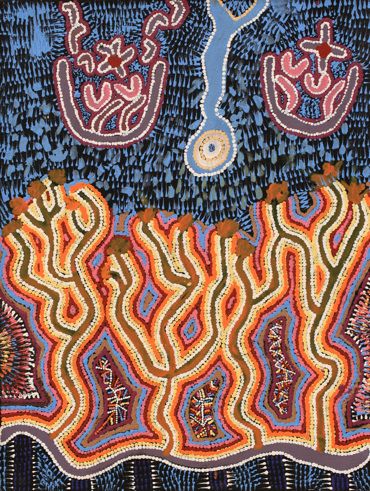 Aboriginal Artwork by Thomas Jangala Rice, Ngapa Jukurrpa (Water Dreaming) - Puyurru, 61x46cm