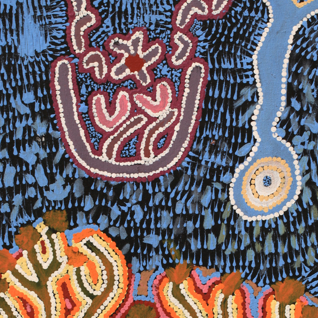 Aboriginal Artwork by Thomas Jangala Rice, Ngapa Jukurrpa (Water Dreaming) - Puyurru, 61x46cm