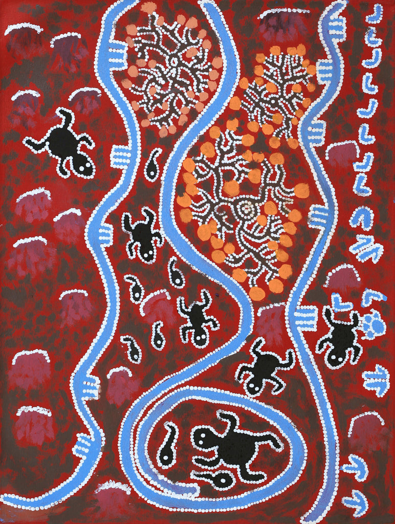 Aboriginal Artwork by Thomas Jangala Rice, Jarlji Jukurrpa (Frog Dreaming), 61x46cm