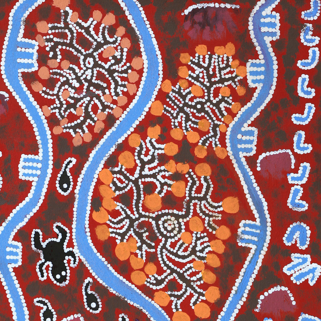 Aboriginal Artwork by Thomas Jangala Rice, Jarlji Jukurrpa (Frog Dreaming), 61x46cm