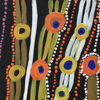 Aboriginal Artwork by Yamangara Thomas Murray, Ngayuku Ngurra, 61x45cm