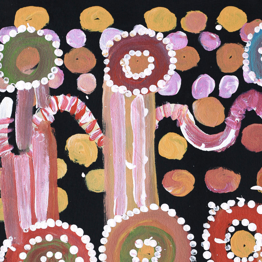 Aboriginal Artwork by Yamangara Thomas Murray, Ngayuku Ngurra, 61x45cm
