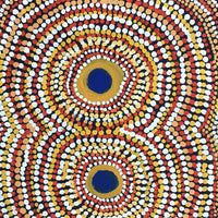Aboriginal Artwork by Tilly Napaltjarri, Dog Tjukurrpa, 155x76cm