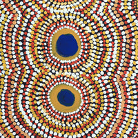 Aboriginal Artwork by Tilly Napaltjarri, Dog Tjukurrpa, 155x76cm