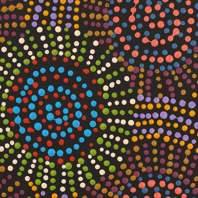 Aboriginal Artwork by Tina Napangardi Martin, Jinti-parnta Jukurrpa, 30x30cm