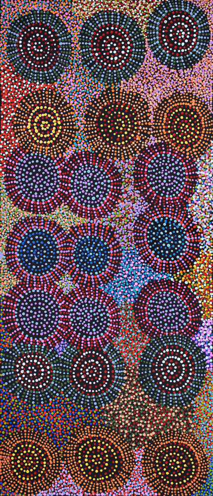 Aboriginal Artwork by Tina Napangardi Martin, Jinti-parnta Jukurrpa, 107x46cm
