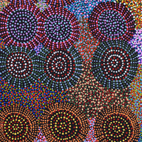 Aboriginal Artwork by Tina Napangardi Martin, Jinti-parnta Jukurrpa, 107x46cm