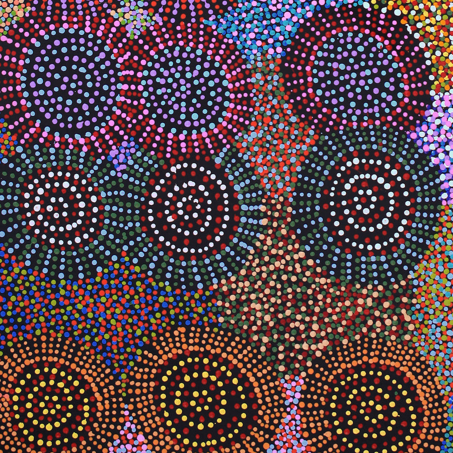 Aboriginal Artwork by Tina Napangardi Martin, Jinti-parnta Jukurrpa, 107x46cm