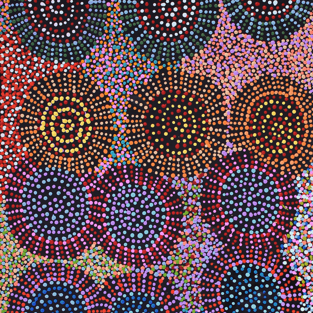 Aboriginal Artwork by Tina Napangardi Martin, Jinti-parnta Jukurrpa, 107x46cm