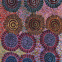 Aboriginal Artwork by Tina Napangardi Martin, Jinti-parnta Jukurrpa, 107x46cm