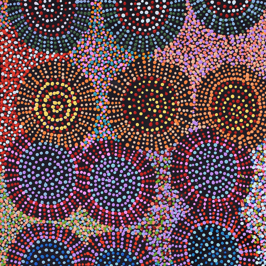 Aboriginal Artwork by Tina Napangardi Martin, Jinti-parnta Jukurrpa, 107x46cm