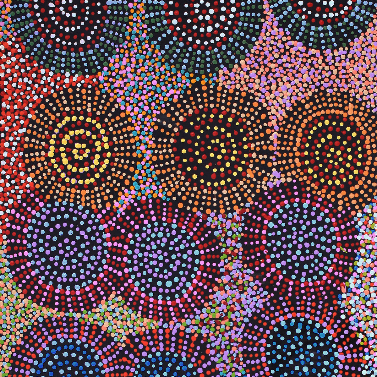 Aboriginal Art by Tina Napangardi Martin, Jinti-parnta Jukurrpa, 107x46cm - ART ARK®