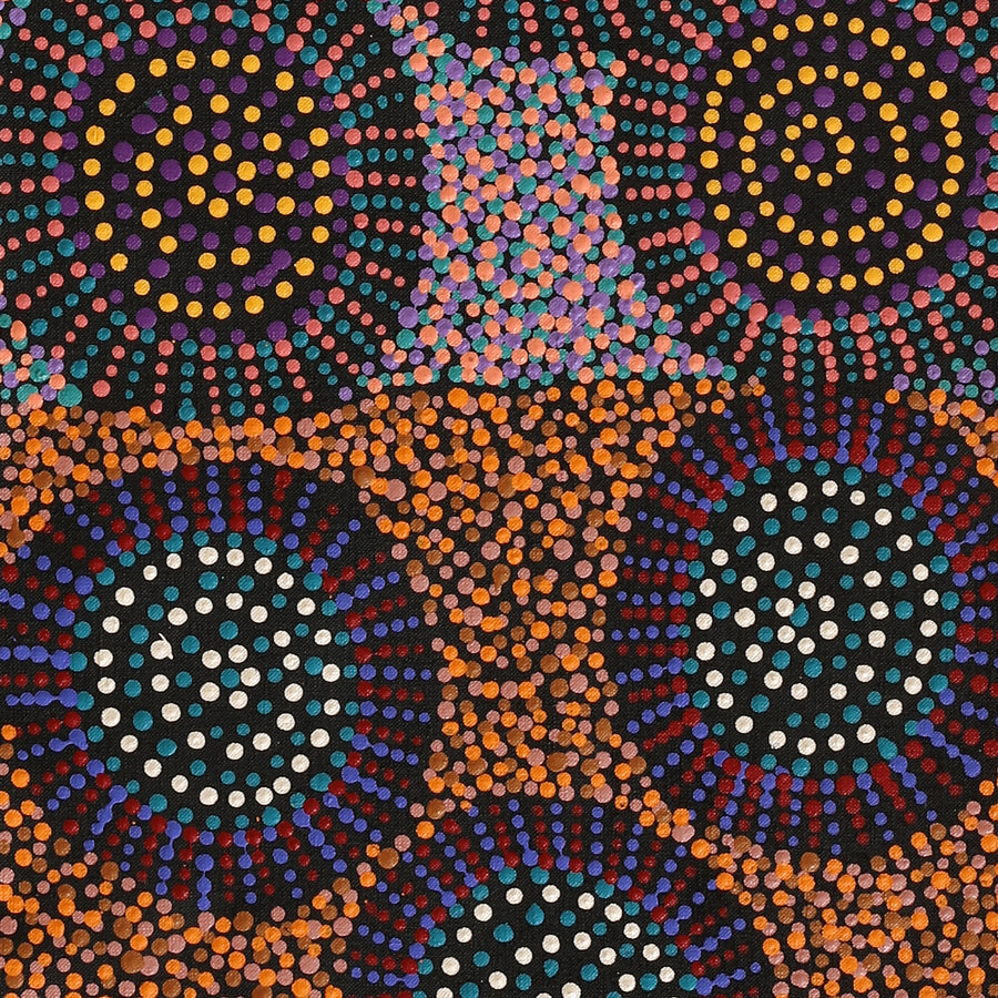 Aboriginal Artwork by Tina Napangardi Martin, Jintiparnta Jukurrpa (Desert Truffle Dreaming) - Mina Mina, 122x30cm