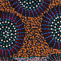 Aboriginal Artwork by Tina Napangardi Martin, Jintiparnta Jukurrpa (Desert Truffle Dreaming) - Mina Mina, 122x30cm