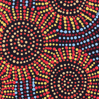 Aboriginal Artwork by Tina Napangardi Martin, Jinti-parnta Jukurrpa, 30x30cm