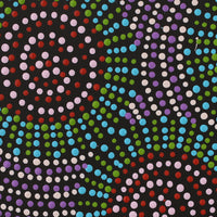 Aboriginal Artwork by Tina Napangardi Martin, Jinti-parnta Jukurrpa, 30x30cm