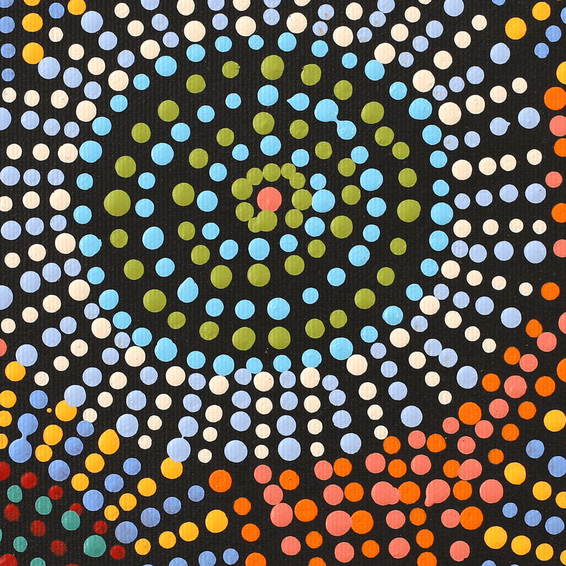 Aboriginal Artwork by Tina Napangardi Martin, Jinti-parnta Jukurrpa, 30x30cm