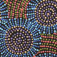 Aboriginal Artwork by Tina Napangardi Martin, Jinti-parnta Jukurrpa, 30x30cm